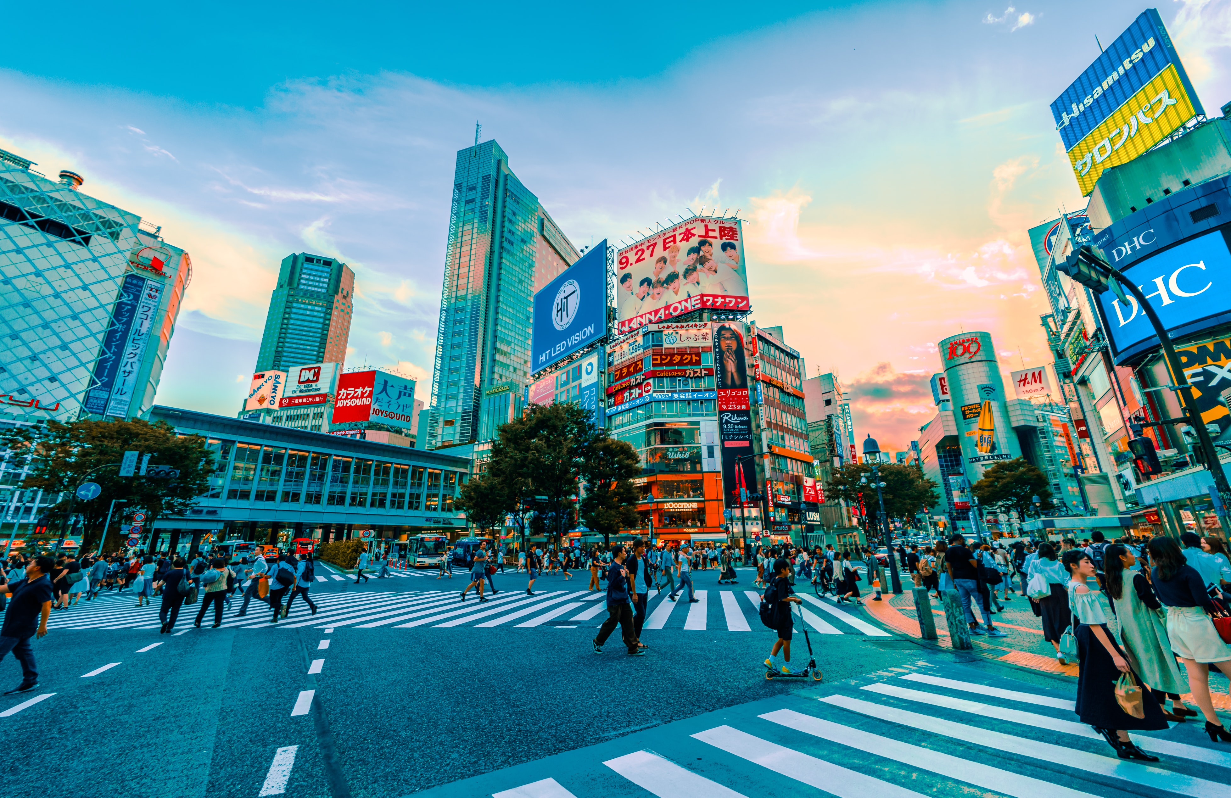 tefl course for teaching in japan
